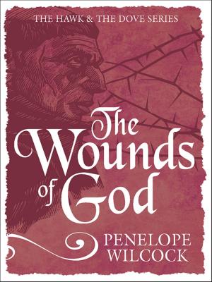 Cover of the book The Wounds of God by Deb Richardson-Moore