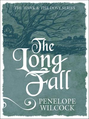 Cover of the book The Long Fall by Sue Atkinson