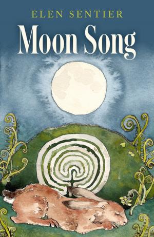 Cover of the book Moon Song by Bernardo Kastrup