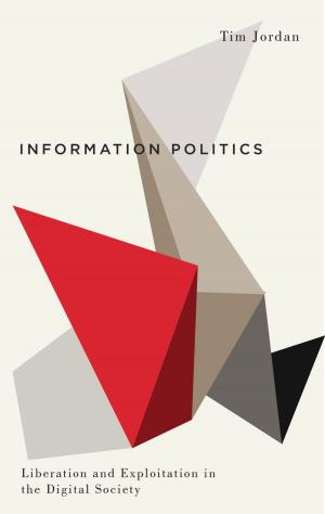 Cover of the book Information Politics by Nahla Abdo