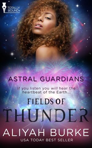 Cover of the book Fields of Thunder by C.L. Etta