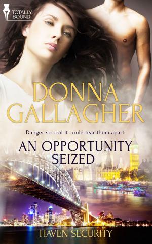 Cover of the book An Opportunity Seized by Melissa Hale