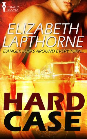 Cover of the book Hard Case by L.M. Somerton
