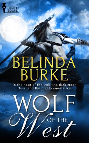 Cover of the book Wolf of the West by Helena Stone
