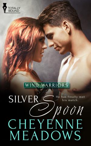 Cover of the book Silver Spoon by Emma Wildes
