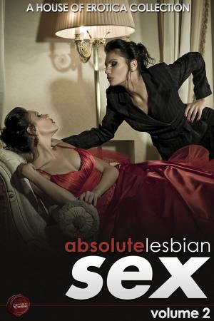 Cover of the book Absolute Lesbian Sex - Volume 2 by Stephanie Gwladferth