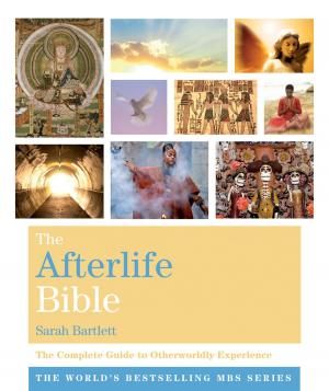 Cover of The Afterlife Bible