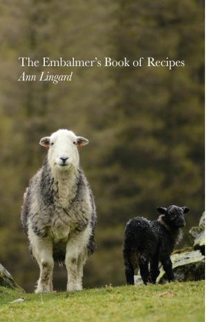 Cover of the book The Embalmer's Book of Recipes by John Crandall