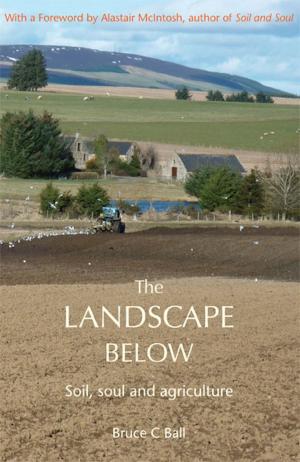 Book cover of Landscape Below