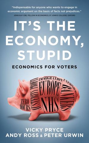 Cover of the book It's The Economy, Stupid by Martin Adeney