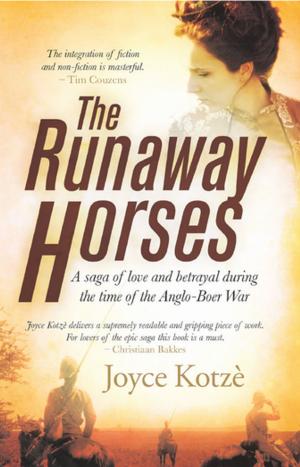 Cover of the book The Runaway Horses by Karen MacLeod