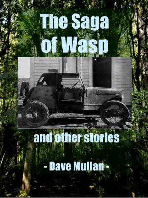 Cover of The Saga of Wasp and other Stories