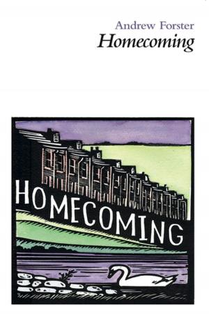 Cover of the book Homecoming by Gerard Benson