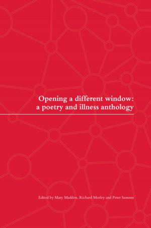Cover of the book Opening a Different Window by Yvonne Green