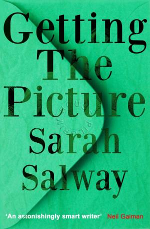 Book cover of Getting The Picture