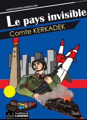 Book cover of Le pays invisible