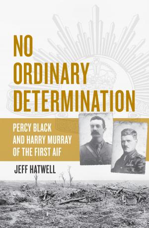 Cover of the book No Ordinary Determination by A. J. Betts