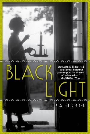 Cover of the book Black Light by A.E. Hellstorm
