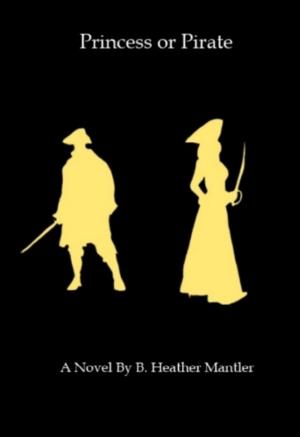 Book cover of Princess Or Pirate