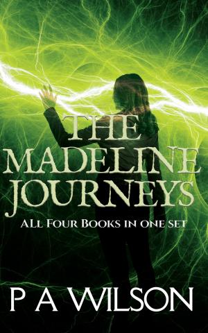Cover of the book The Madeline Journeys by P A Wilson