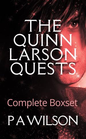 Book cover of The Quinn Larson Quests