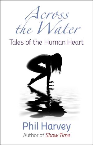 Cover of the book Across the Water by Kelly S. Bishop