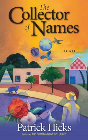 Cover of the book The Collector of Names by Hilary Holladay