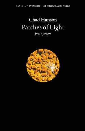 Book cover of Patches of Light