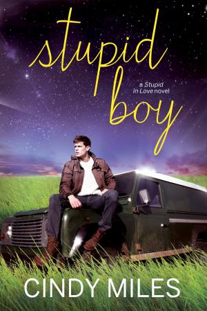 Cover of the book Stupid Boy (New Adult Romance) by Francisco Martín Moreno