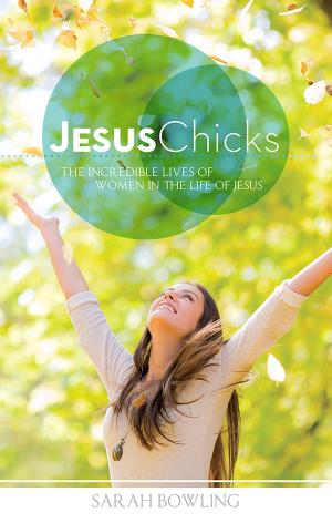 Book cover of Jesus Chicks