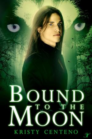 Cover of the book Bound to the Moon by Abigail Drake, Bridie Hall, Lisa Hahn, Kim Briggs, Shilpa Mudiganti, Sarah Vance-Tompkins
