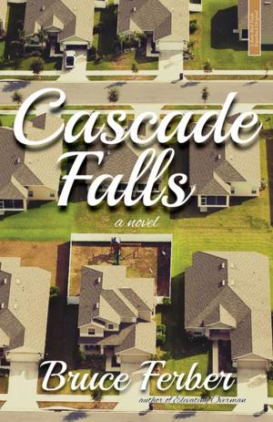 Cover of the book Cascade Falls by Judith Hannan