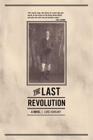 Cover of the book The Last Revolution by Gabriel Squailia
