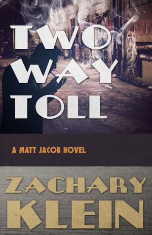 Cover of the book Two Way Toll by D.W. Buffa