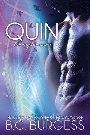 Cover of the book Quin by Kelson Hargis