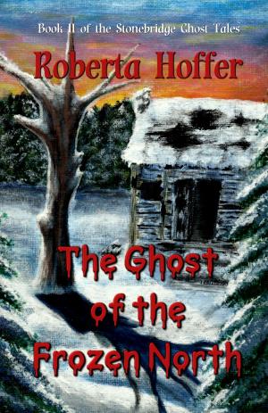 Book cover of The Ghost of the Frozen North