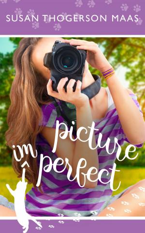 Cover of the book Picture Imperfect by Sandy Zabel