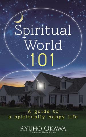 Book cover of Spiritual World 101