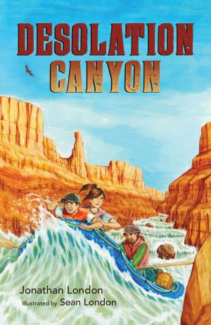 Cover of the book Desolation Canyon by Jim Rearden
