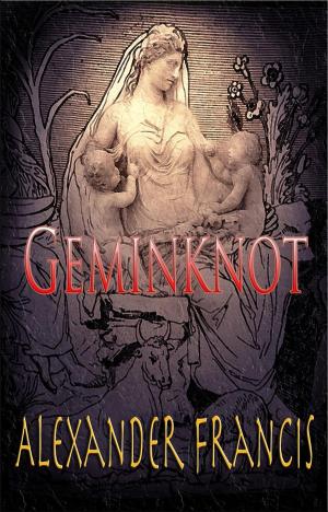 Cover of the book Geminknot by Gaby Hauptmann, Barbara Ruprecht