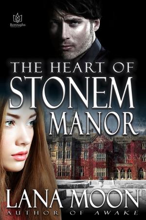 Cover of the book The Heart of Stonem Manor by Kellyann Zuzulo