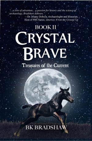 Cover of the book Crystal Brave: Treasures of the Current by Dr. Linda Barboa, Mary Lou Datema