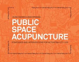 Cover of Public Space Acupuncture