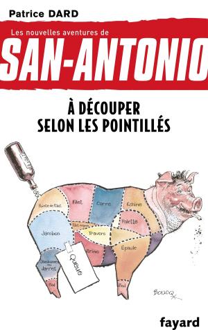 Cover of the book À découper selon les pointillés by Michel Duchein