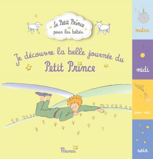 bigCover of the book Je découvre la belle journée du Petit Prince by 