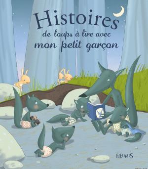 Cover of the book Histoires de loups à lire avec mon petit garçon by Lucie Fossemalle