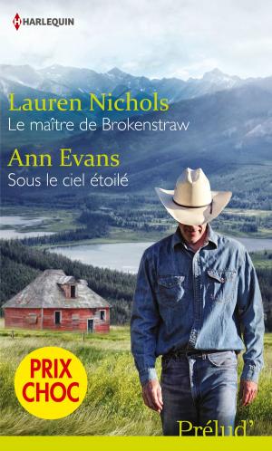 Cover of the book Le maître de Brokenstraw - Sous le ciel étoilé by Susan Crosby, Christyne Butler