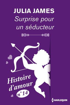 Cover of the book Surprise pour un séducteur - Histoire d'amour n° 14 by Andrea Laurence, Kat Cantrell, Yvonne Lindsay