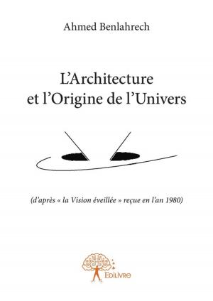 Book cover of L'Architecture et l'Origine de l'Univers