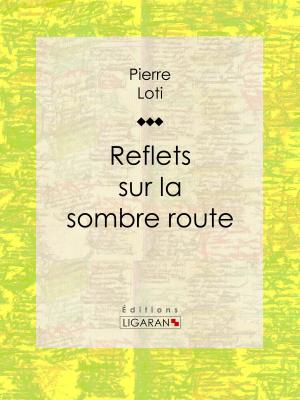 Cover of the book Reflets sur la sombre route by Emile Bergerat